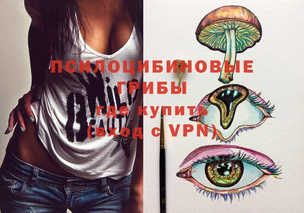 не бодяженный Алексин