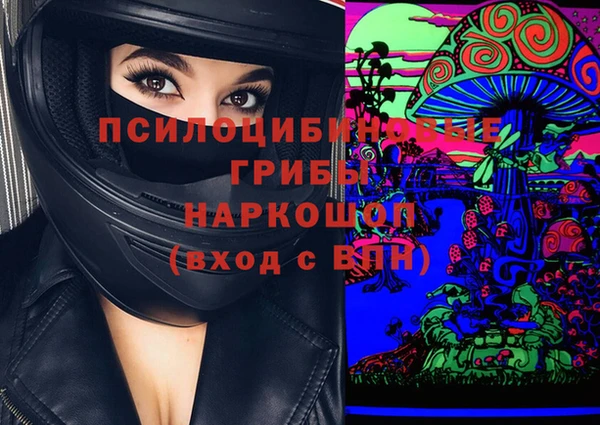 молекула духа Алзамай