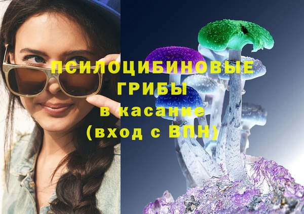 молекула духа Алзамай