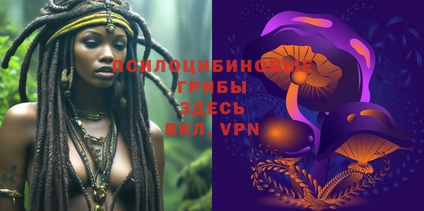молекула духа Алзамай