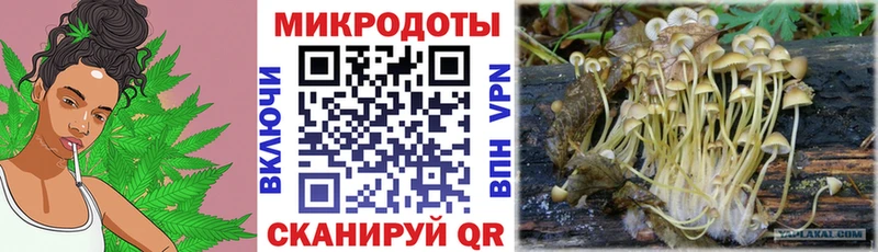 Псилоцибиновые грибы Psilocybine cubensis Нижняя Салда